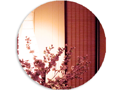 New Energy Therapy Massage